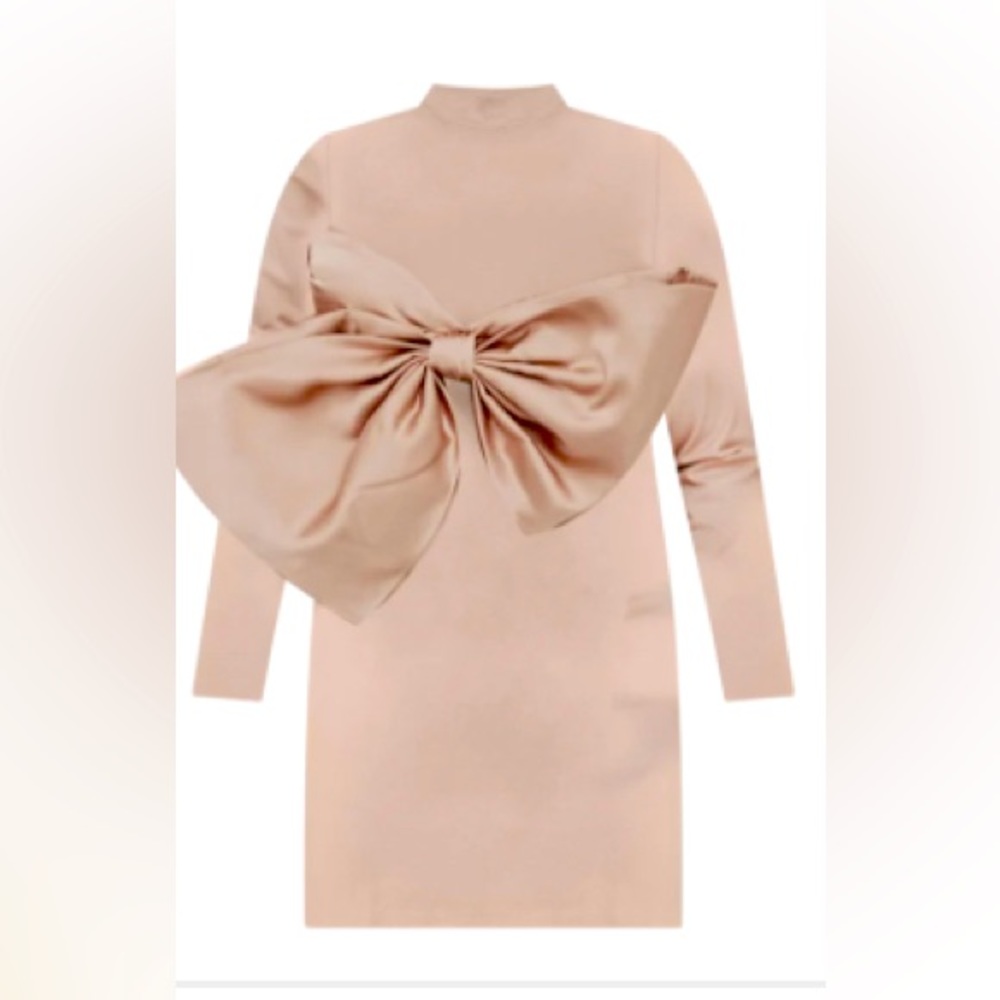 Gently worn Pink size 14 ELOQUII dress